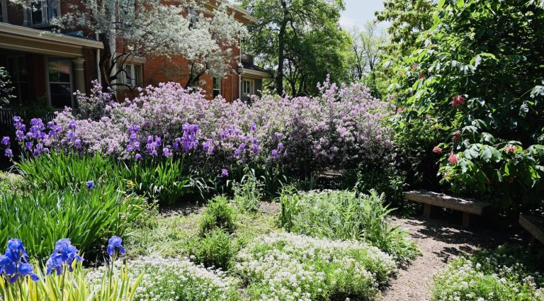 Boulder Garden Tour 1 768x425